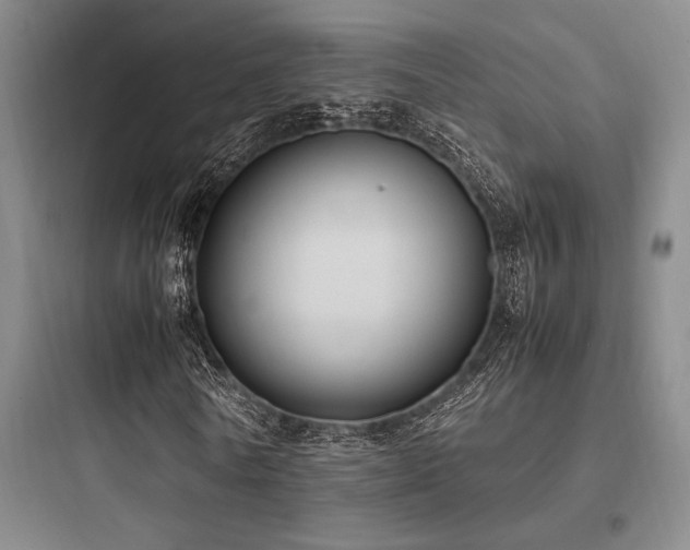 X0000097980770200803241258