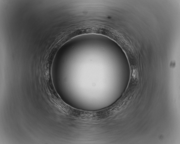 X0000097980771200803241258