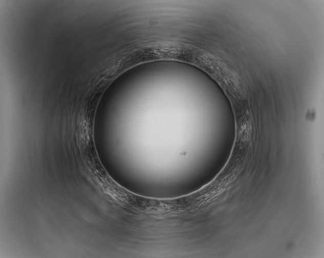 X0000097980772200803241258