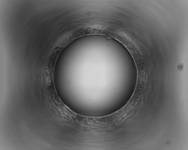 X0000097980774200803241258
