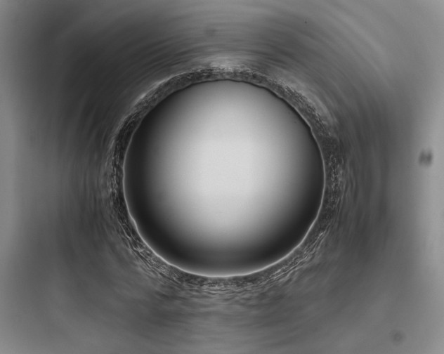 X0000097980776200803241258
