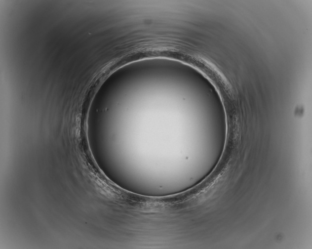 X0000097980777200803241258