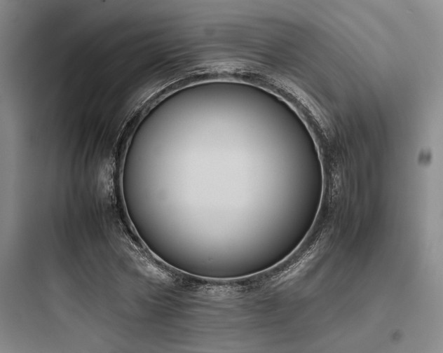 X0000097980778200803241258