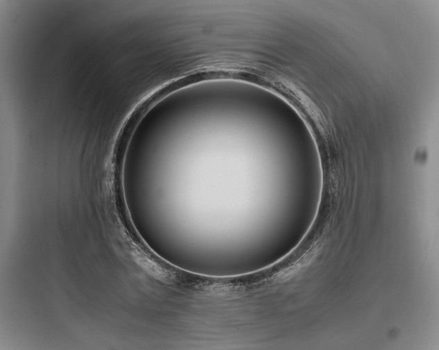 X0000097980779200803241258