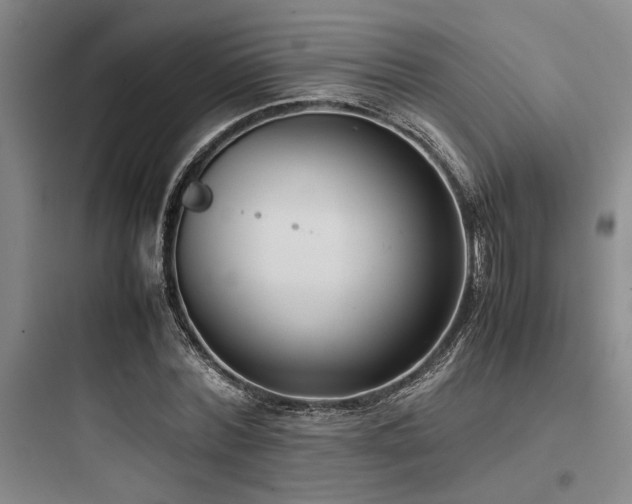 X0000097980780200803241258