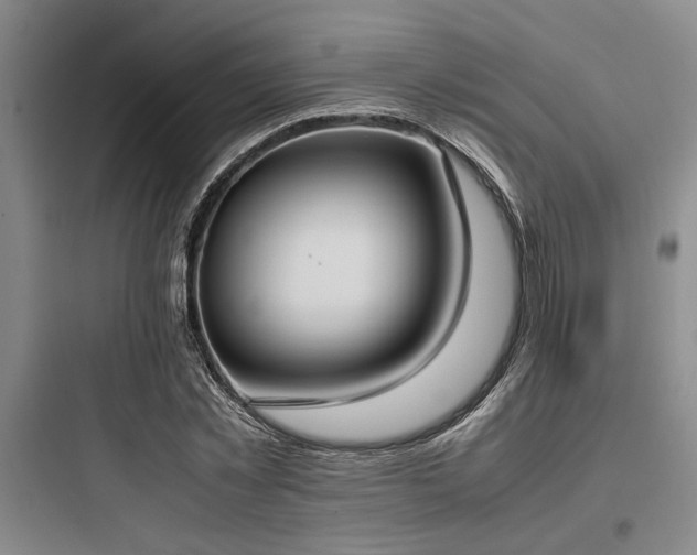 X0000097980781200803241258