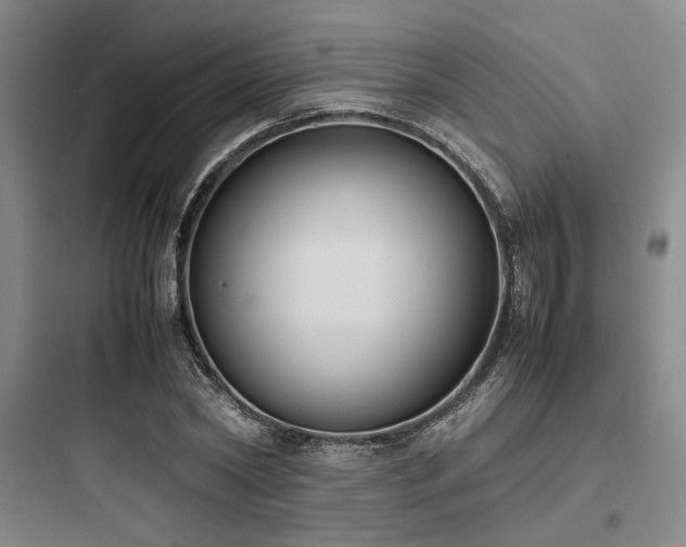 X0000097980782200803241258