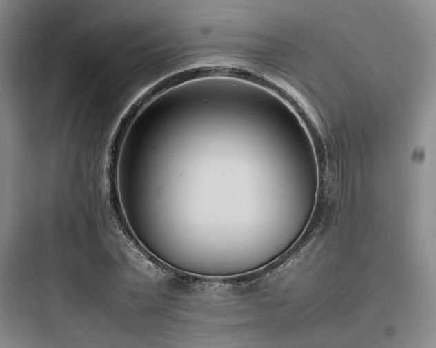 X0000097980783200803241258
