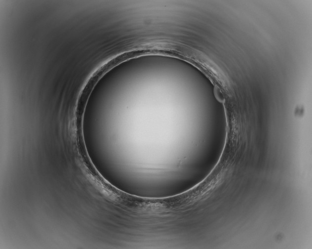 X0000097980784200803241258