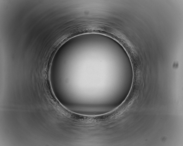 X0000097980785200803241258