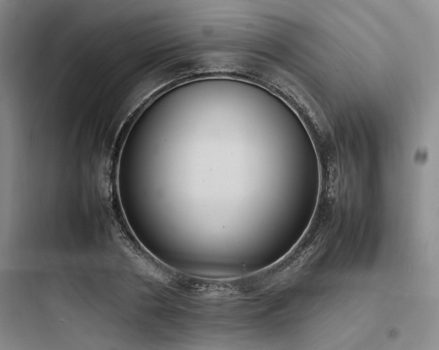 X0000097980786200803241258