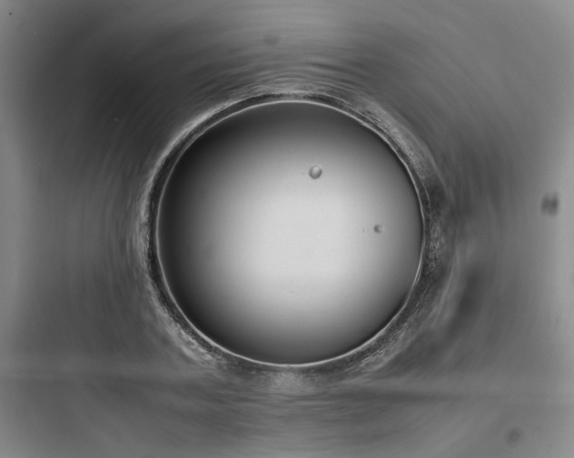 X0000097980787200803241258