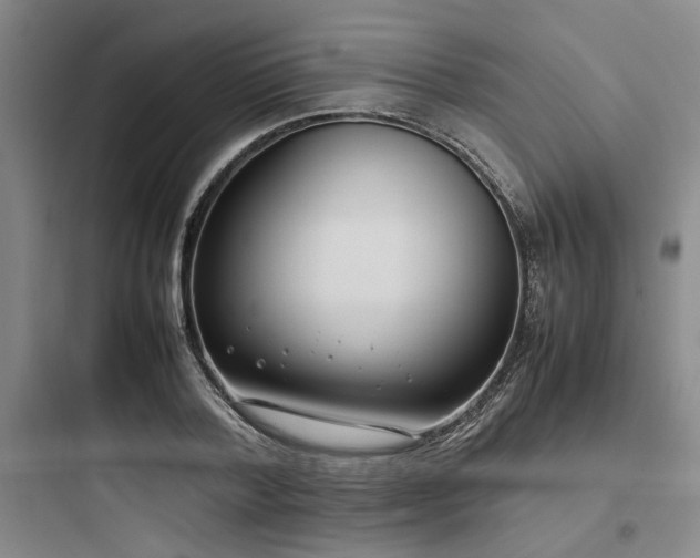 X0000097980788200803241258