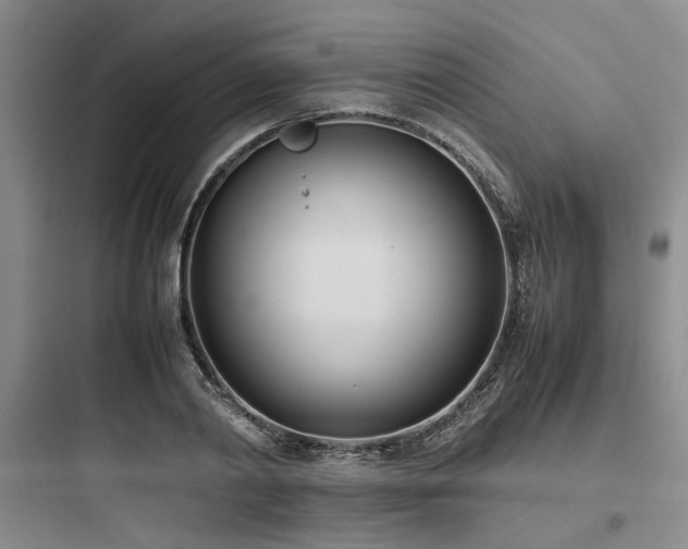 X0000097980790200803241258