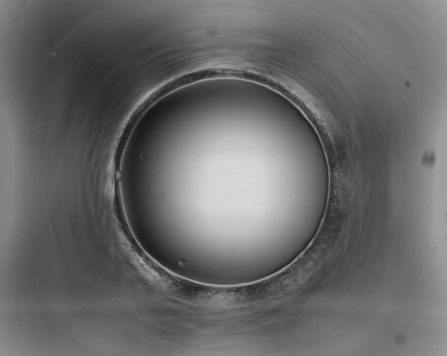 X0000097980791200803241258