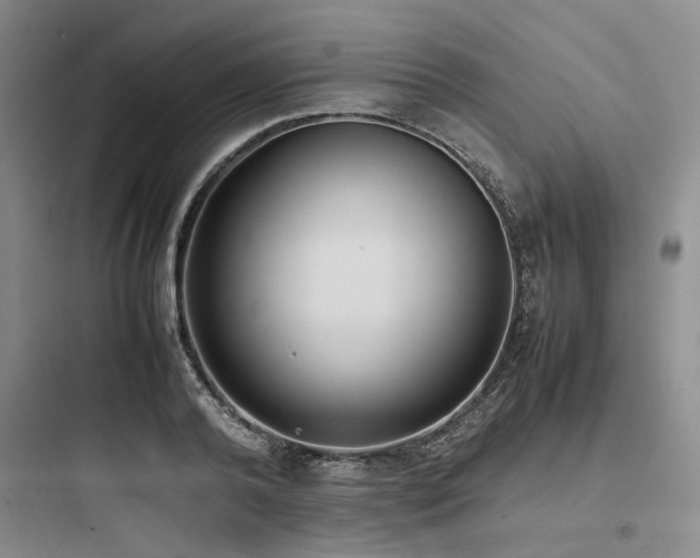 X0000097980792200803241258