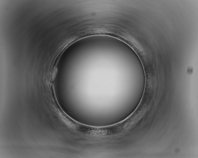 X0000097980793200803241258