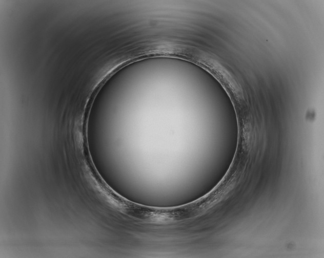 X0000097980794200803241258