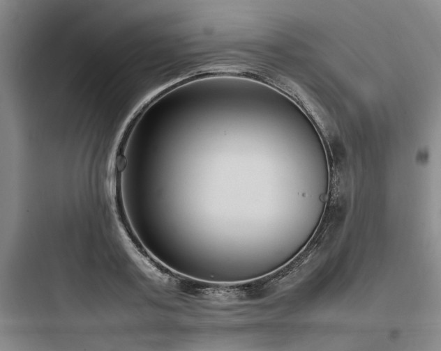 X0000097980795200803241258
