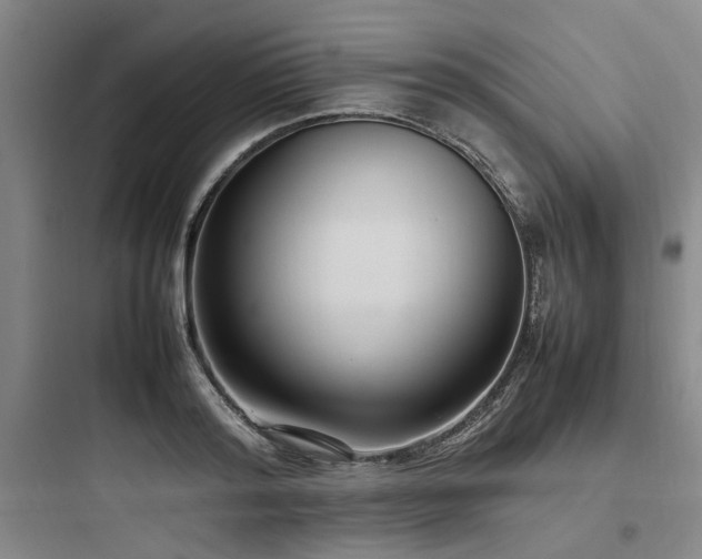 X0000097980796200803241258