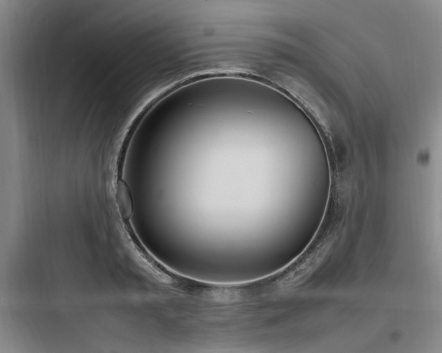 X0000097980797200803241258