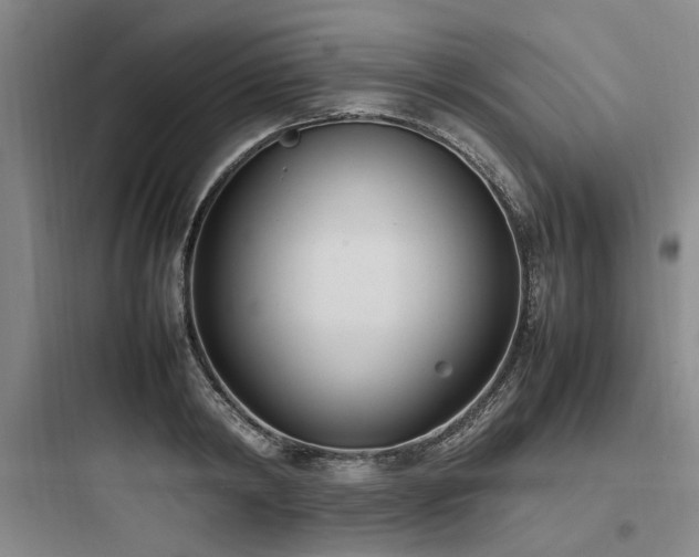 X0000097980798200803241258
