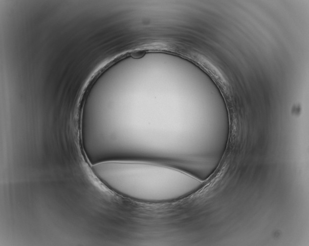 X0000097980800200803241258