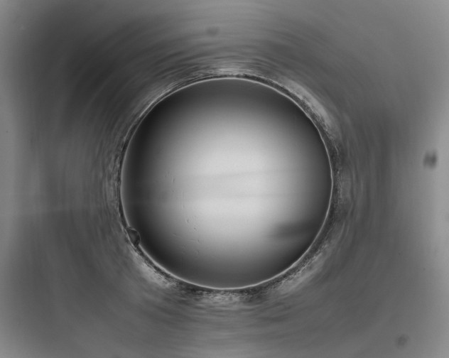 X0000097980801200803241258