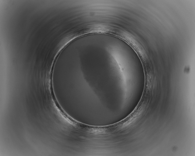 X0000097980802200803241258