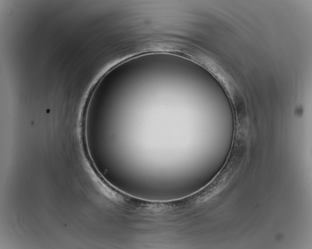 X0000097980803200803241258