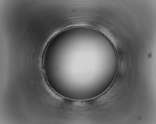 X0000097980805200803241258