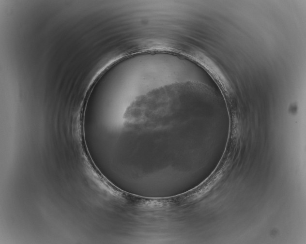 X0000097980806200803241258