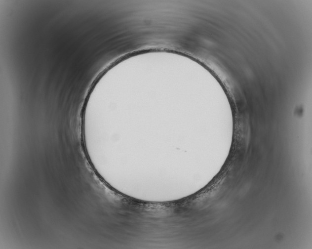 X0000097980807200803241258