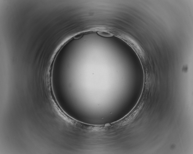 X0000097980808200803241258