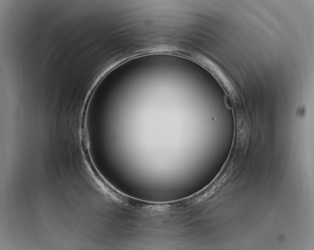 X0000097980810200803241258