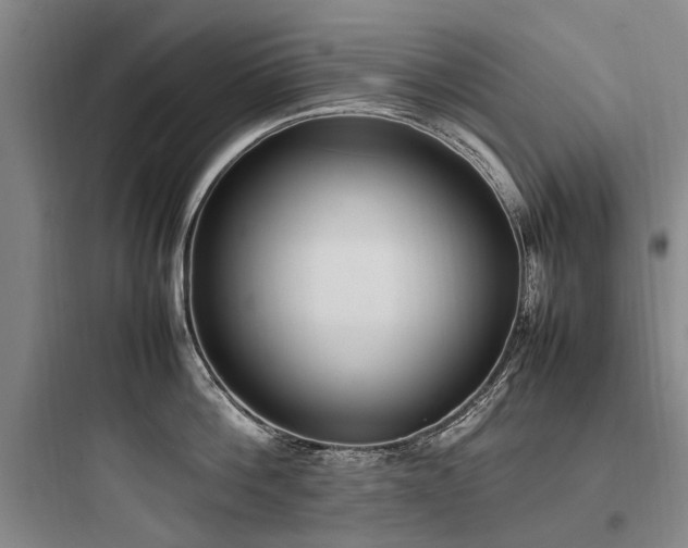 X0000097980812200803241258