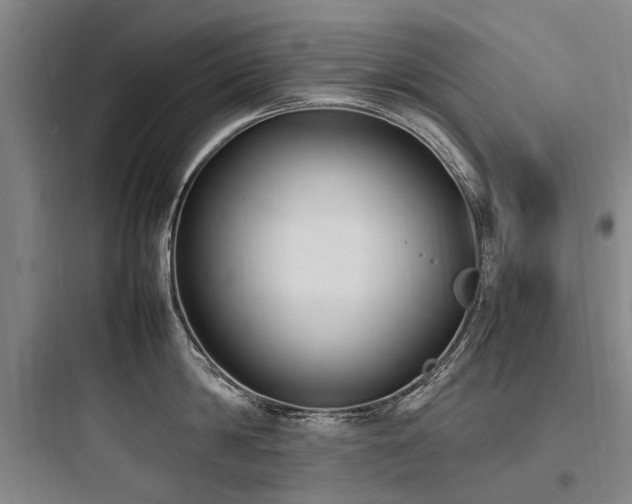 X0000097980814200803241258