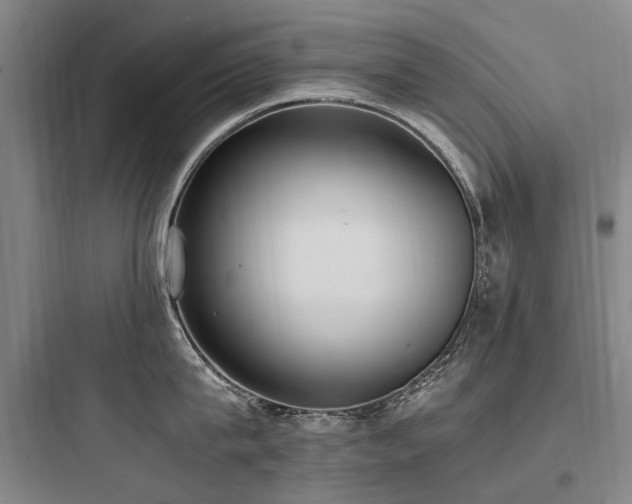X0000097980815200803241258