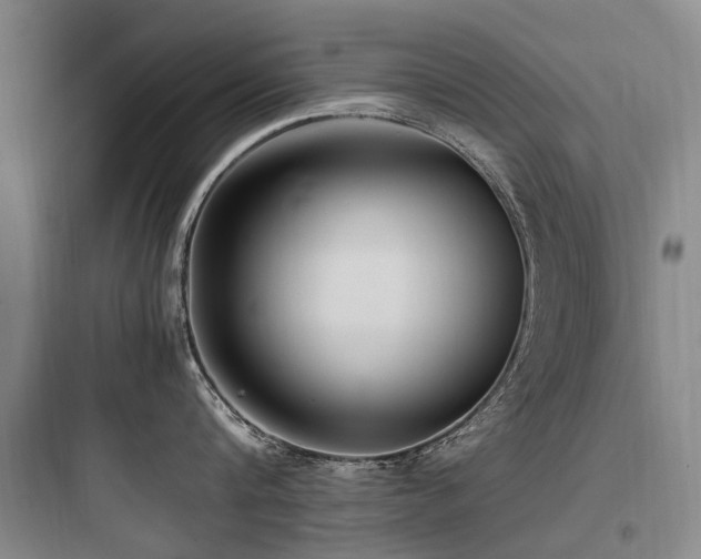X0000097980816200803241258