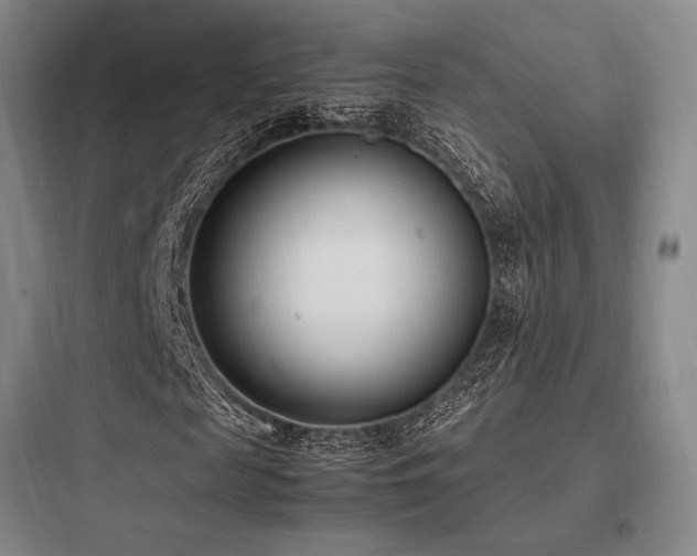 X0000097980817200803241257