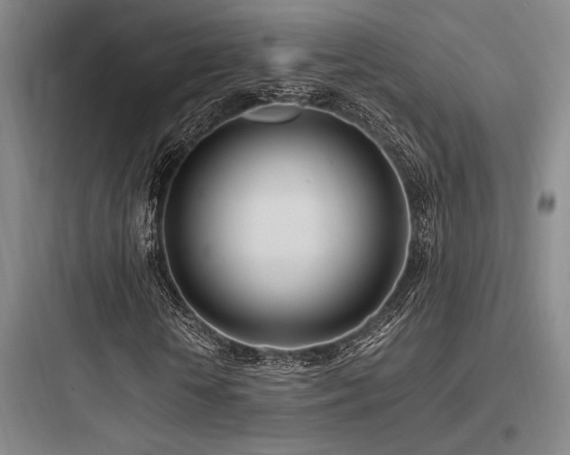 X0000097980818200803241257