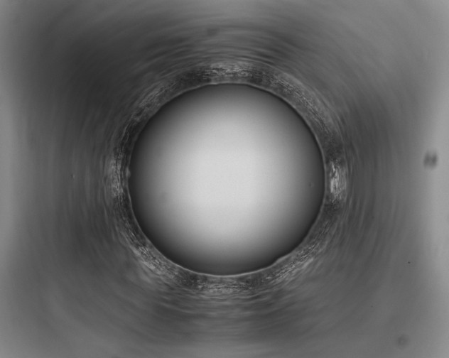 X0000097980819200803241257