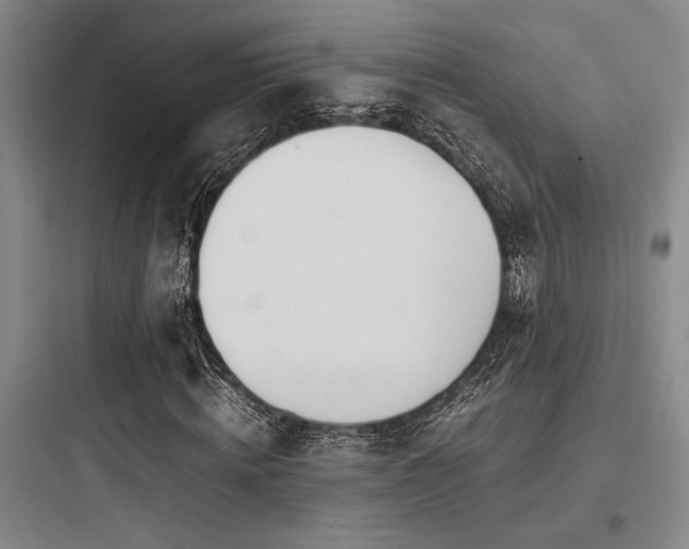 X0000097980820200803241257
