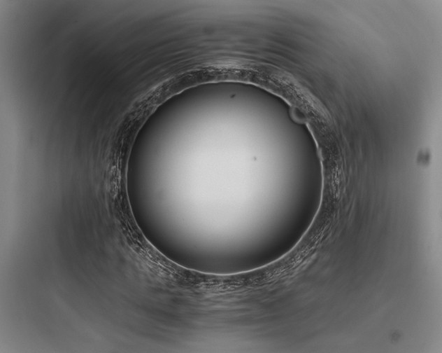 X0000097980821200803241257