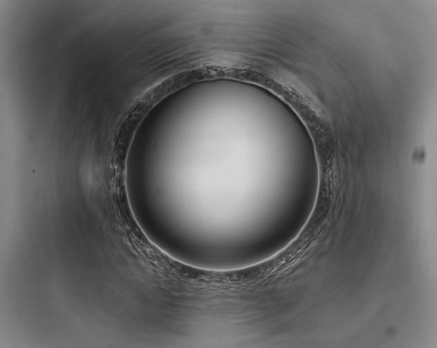 X0000097980822200803241257