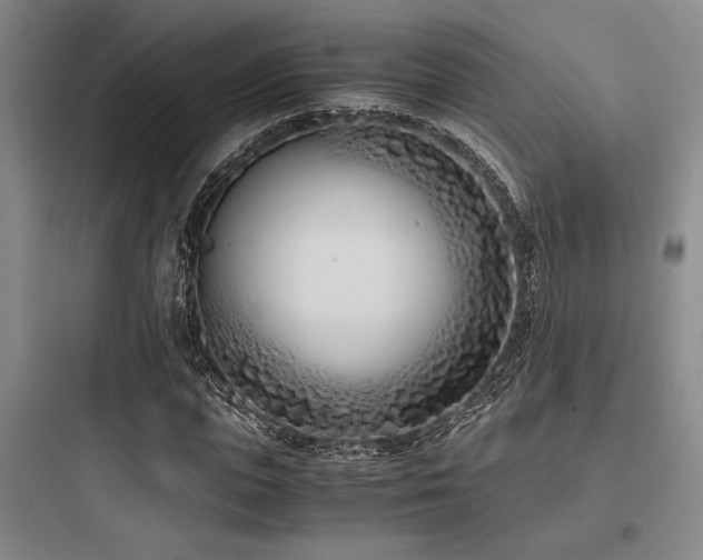 X0000097980823200803241257