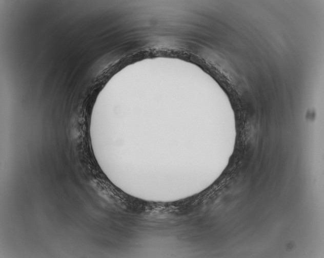 X0000097980824200803241257