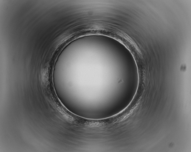 X0000097980826200803241257