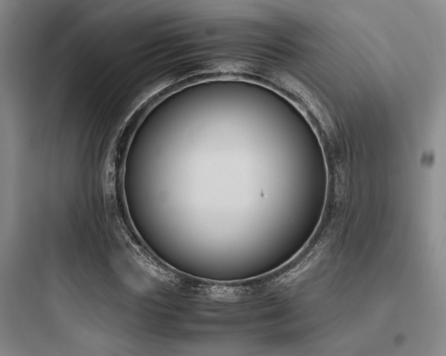 X0000097980827200803241257