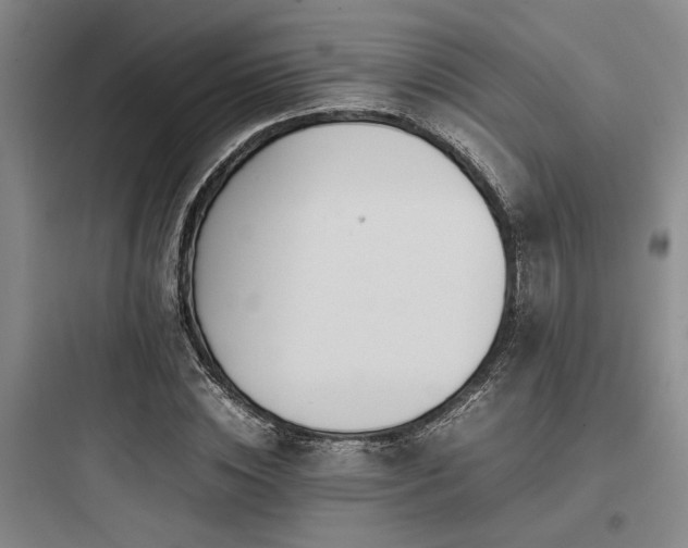 X0000097980828200803241257